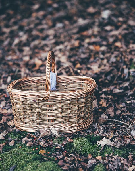 Foraging Walk