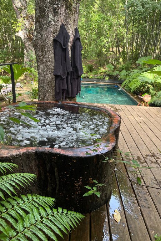 COLD PLUNGE - A forest-side cold plunge, carved from one solid trunk