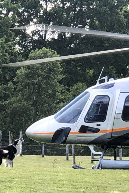 HELIPAD - Effortless arrivals and departures, with adventure just a lift away.